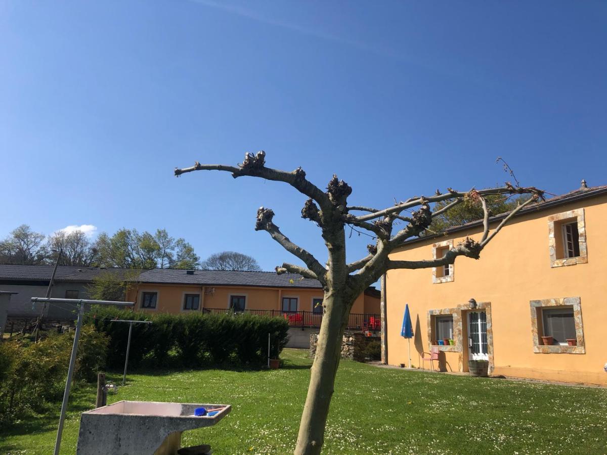 Albergue O Cruceiro Salgueiros Zewnętrze zdjęcie